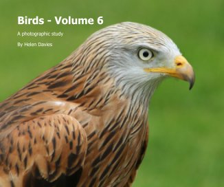 Birds - Volume 6 book cover