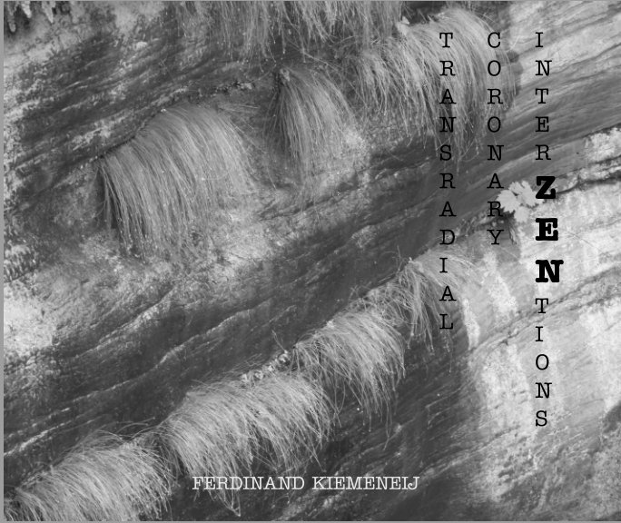 View Transradial Coronary Interzentions by Ferdinand Kiemeneij