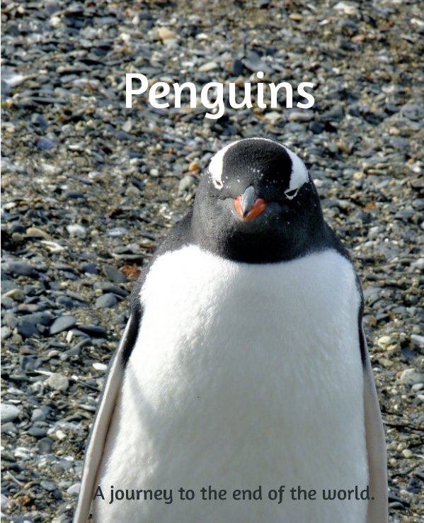 Ver Penguins por M Govorusa