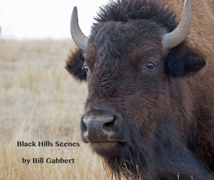 View Black Hills Scenes by Bill Gabbert