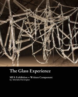 The Glass Experience book cover