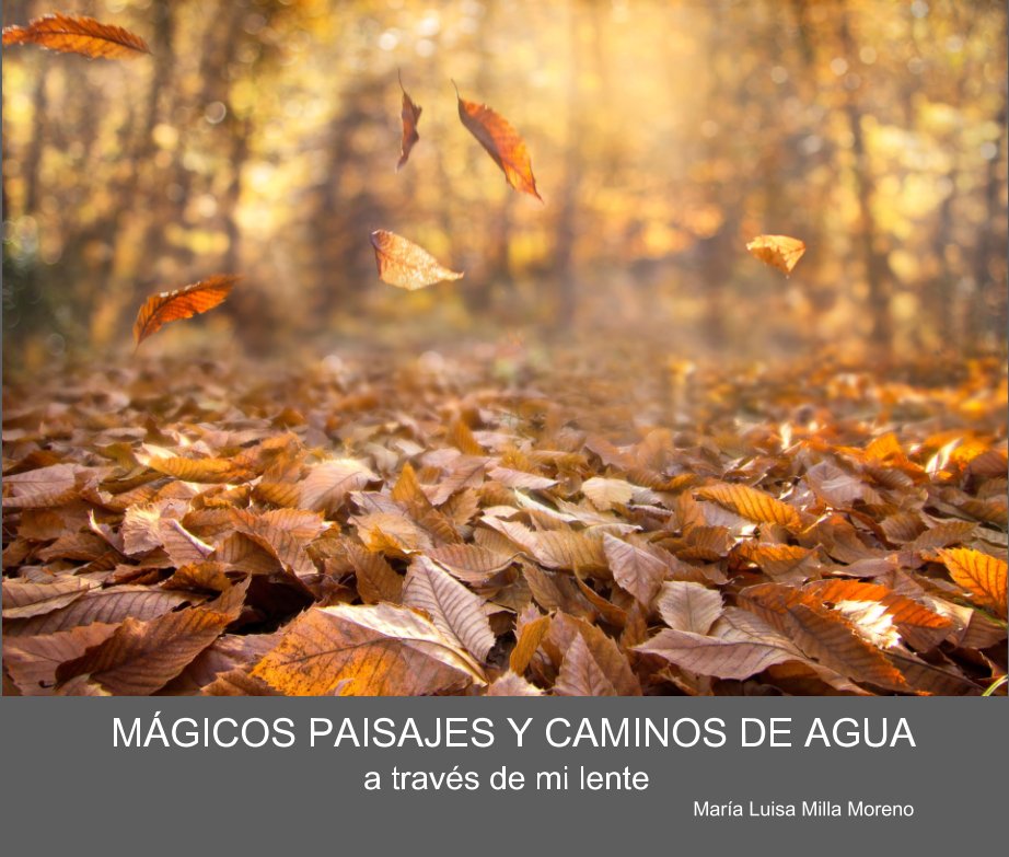 Ver Mágicos paisajes y caminos de agua, a través de mi lente por María Luisa Milla Moreno