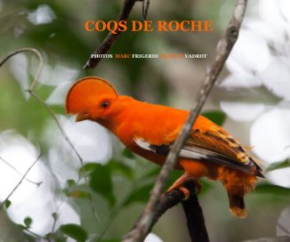 COQS DE ROCHE book cover