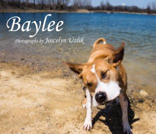 Baylee book cover