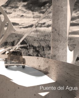 Puente del Agua book cover