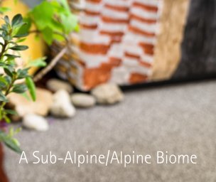 A Sub-Alpine/Alpine Biome book cover