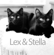 Lex & Stella book cover