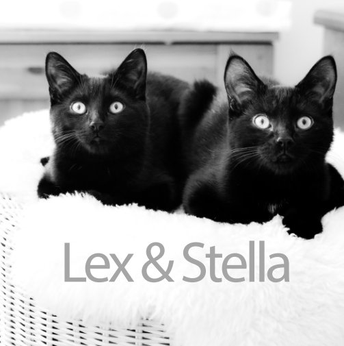 Bekijk Lex & Stella op Pascale Laroche