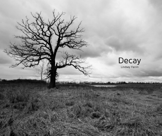 View Decay by Lindsey Ferrin