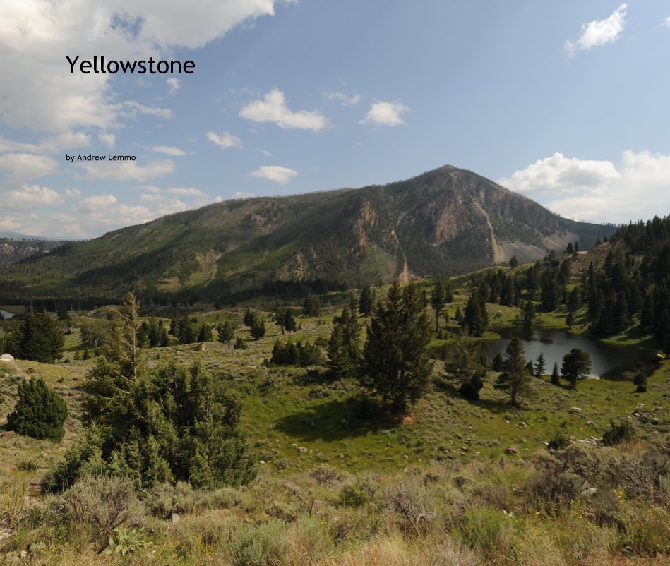 View Yellowstone by Andrew Lemmo