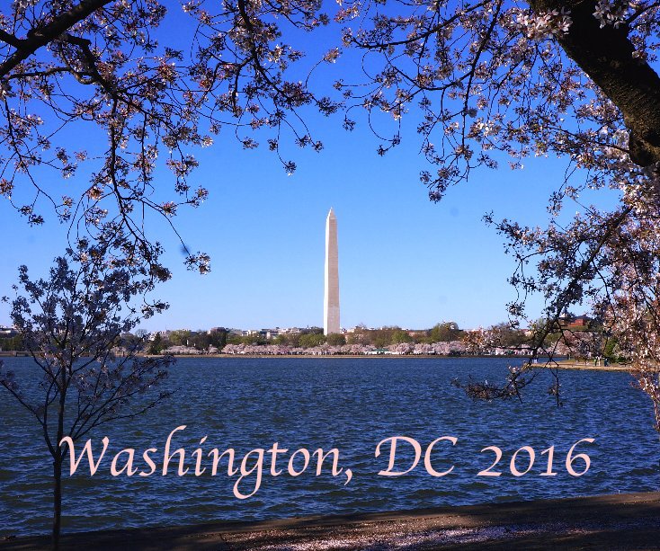 View Washington, DC 2016 by Donita Smith