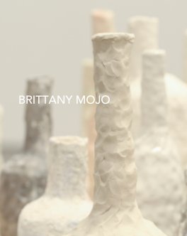 Brittany Mojo book cover