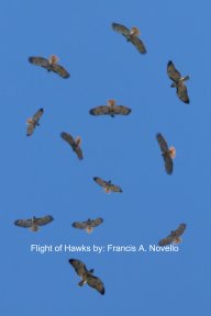 Flight of Hawks book cover