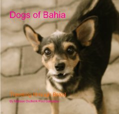 Dogs of Bahia book cover
