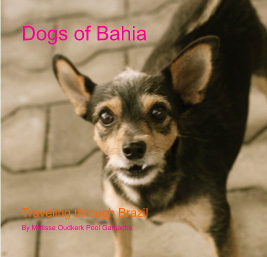 View Dogs of Bahia by Matisse Oudkerk Pool Gamache