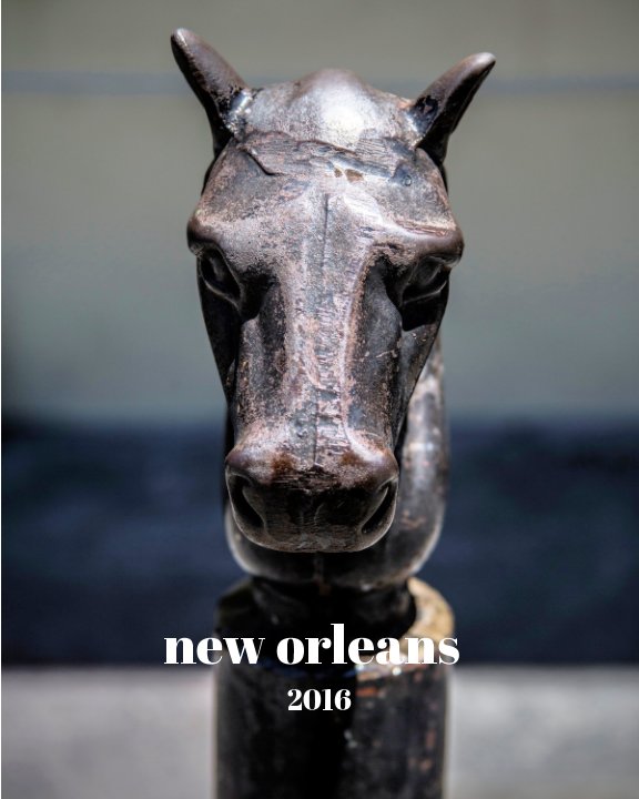 View New Orleans 2016 by Diana Adams