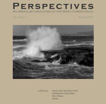 Perspectives, Vol. 4 no. 2 book cover