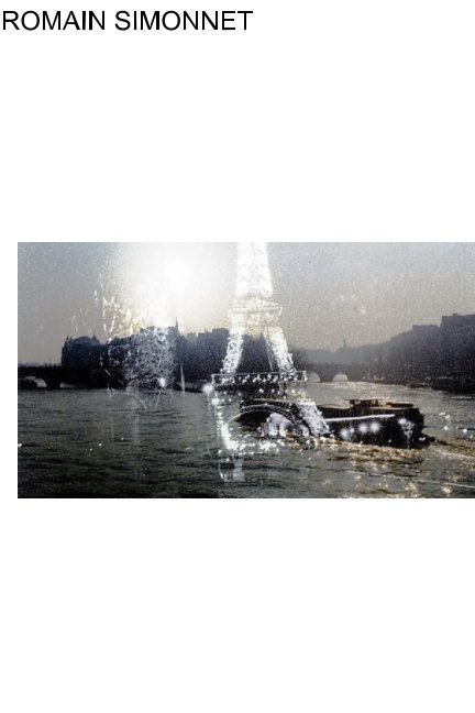 Visualizza Romain Simonnet di Romain Simonnet