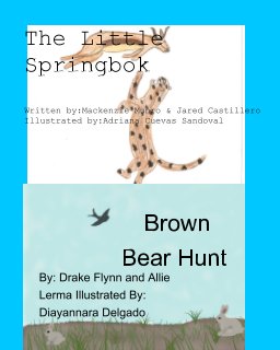 Brown Bear Hunt & The Little Springbok book cover