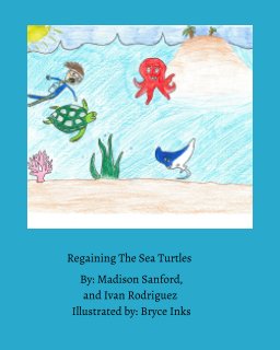 Regaining The Sea Turtles book cover