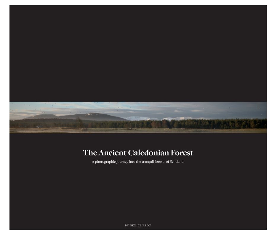 Visualizza The Ancient Caledonian Forest di Ben Clifton