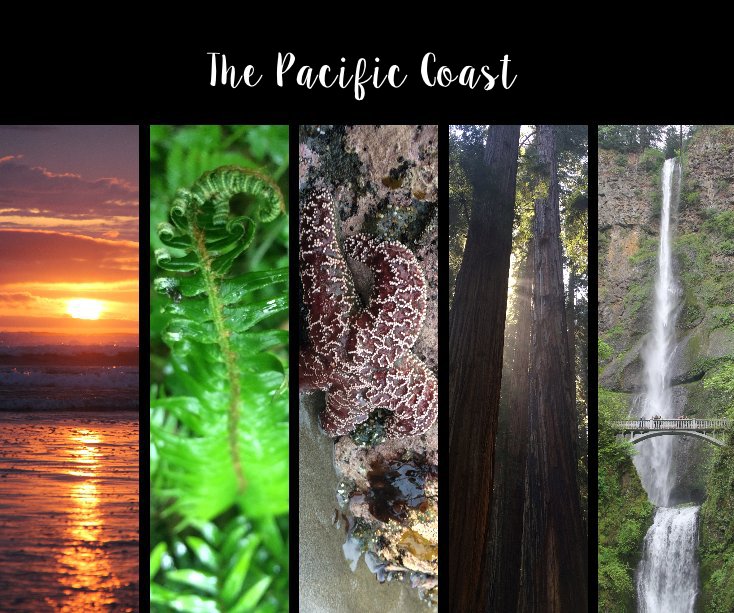 View The Pacific Coast by Carrie Pauly