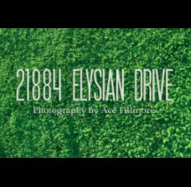 21884 Elysian Drive book cover