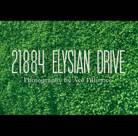 View 21884 Elysian Drive by Ace Fillmore