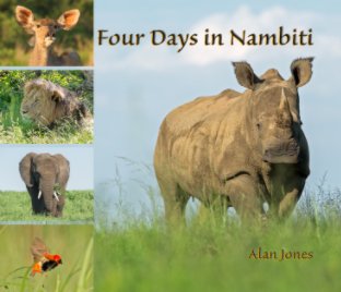 Four Days In Nambiti book cover