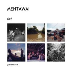 MENTAWAI book cover