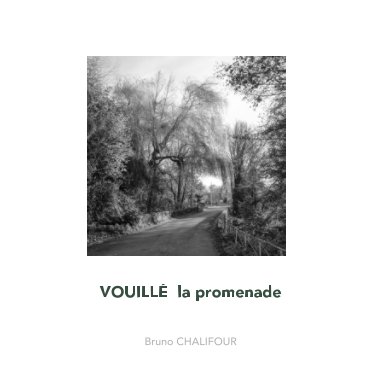 VOUILLE  la promenade (2) book cover