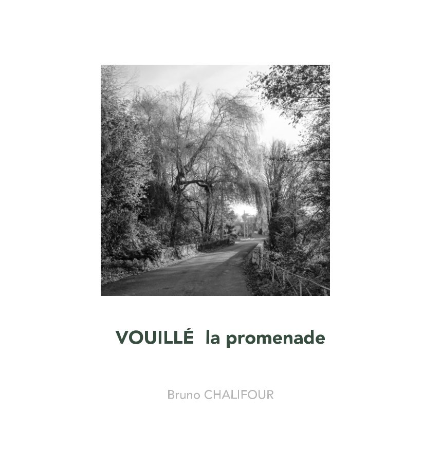 View VOUILLE  la promenade (2) by Bruno Chalifour