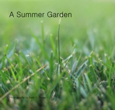 A Summer Garden book cover