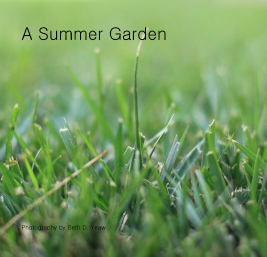 View A Summer Garden by Photography by Beth D. Yeaw