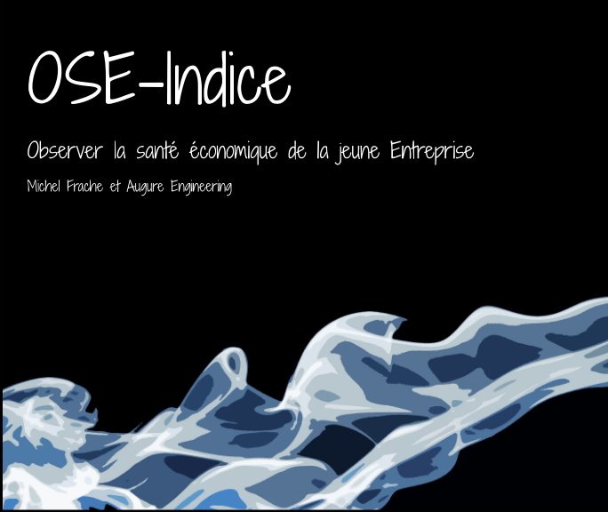 Bekijk OSE-Indice op Michel FRACHE et Augure Engineering