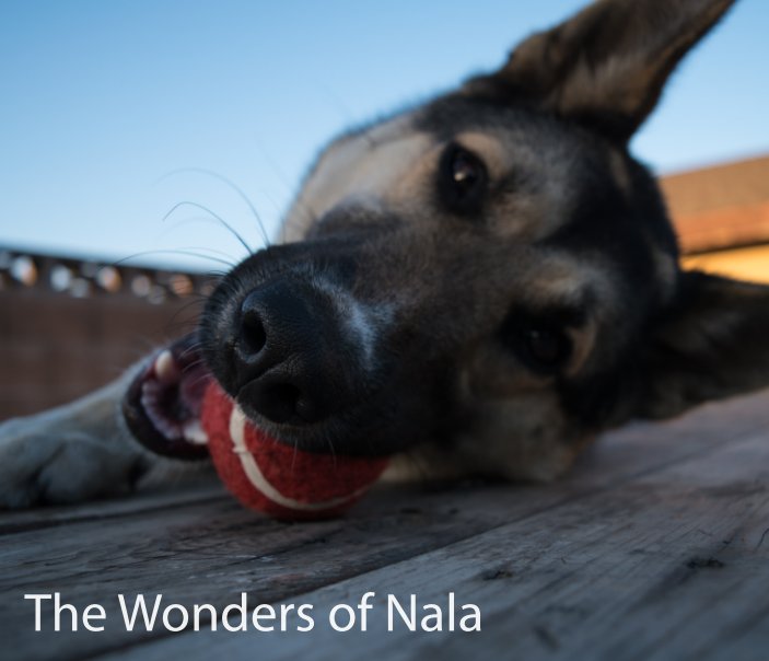 View The Wonders of Nala by Ixtchel Rosales