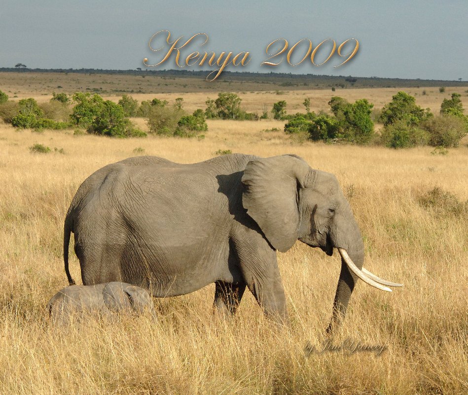 View Kenya 2009 by Jim Yancey