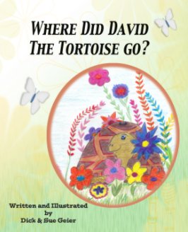 Where Did David The Tortoise Go? book cover