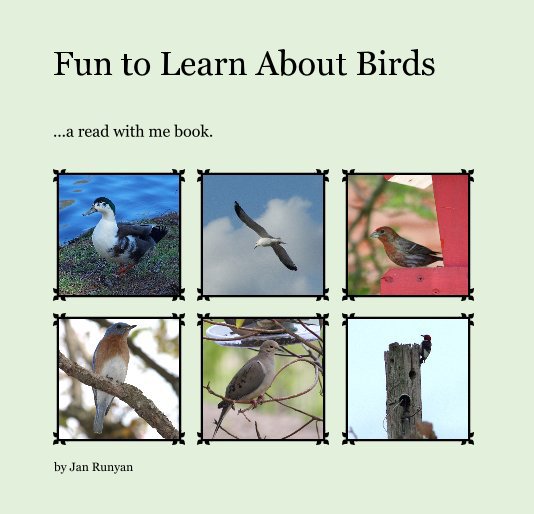 View Fun to Learn About Birds by Jan Runyan