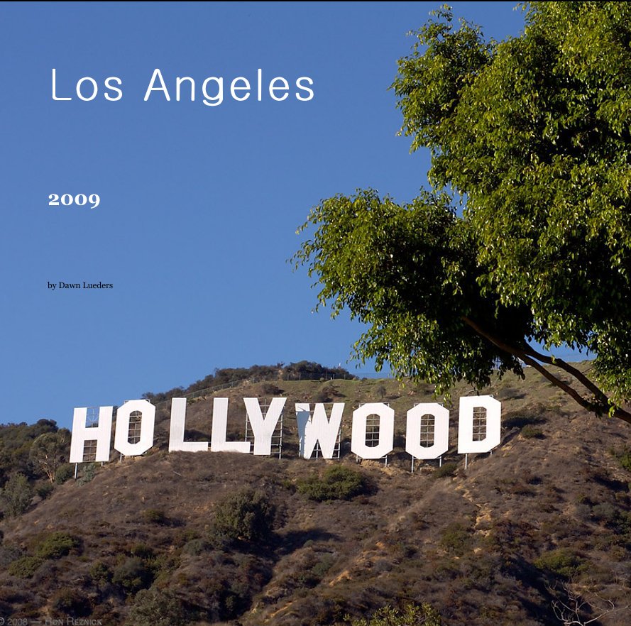 Visualizza Los Angeles di Dawn Lueders