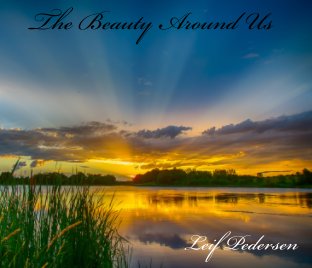 Beauty Around Us , vol. 2 book cover