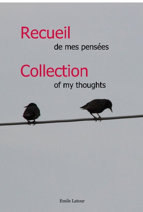 Bekijk Recueil de mes pensées | Collection of my thoughts op Emile Latour