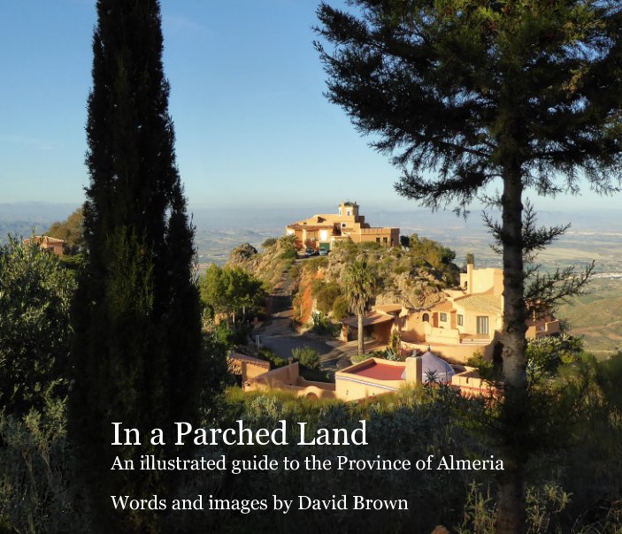View In a Parched Land by David Brown