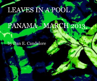 Leaves In A Pool book cover