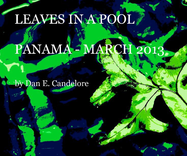 View Leaves In A Pool by Dan E. Candelore