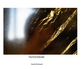 TESTOSTERONE book cover