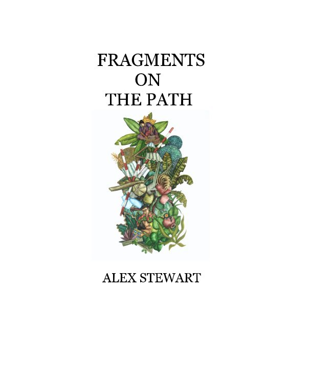 View FRAGMENTS ON THE PATH by ALEX STEWART