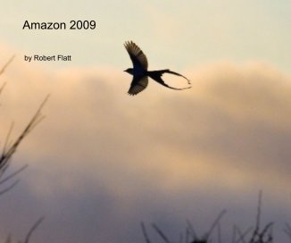 Amazon 2009 book cover