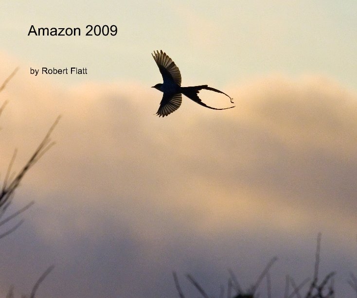 View Amazon 2009 by Robert Flatt