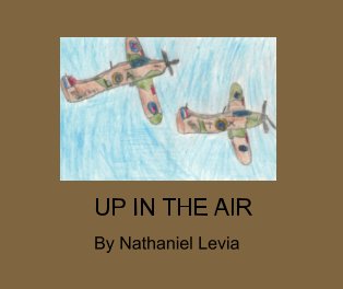 Up in the Air book cover